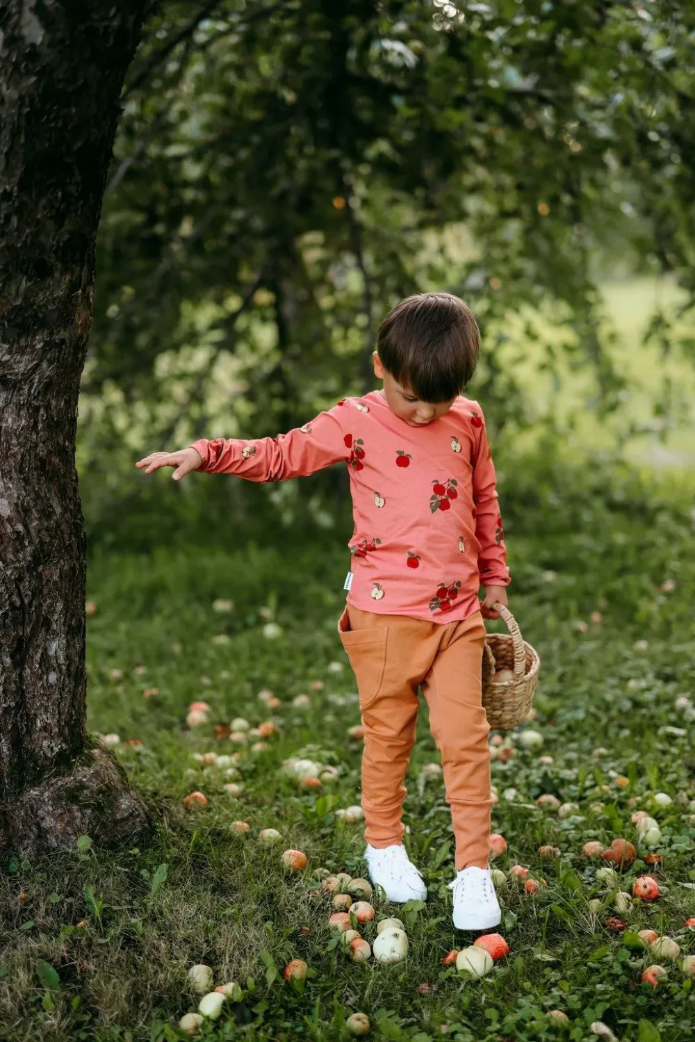 Metsola Paidat|Paidat>APPLE TREE -PAITA | RASPBERRY
